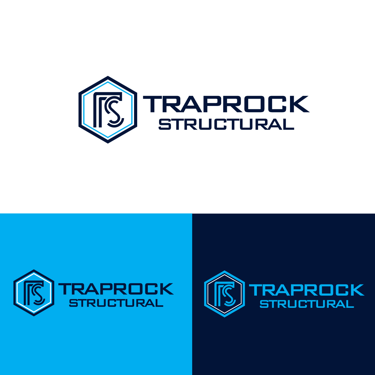 Logo Design by fly  design for this project | Design #36069345