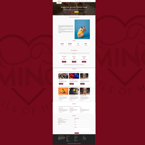 Web Design by Design World 101
