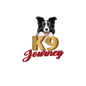 Logo Design by bethmage janaka