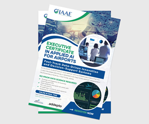 Flyer Design by VirtueDesignPro for Aviation Strategies International | Design: #36085825