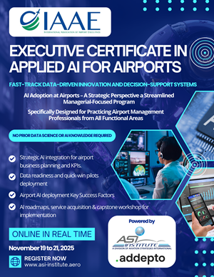 Flyer Design by James for Aviation Strategies International | Design: #36080052