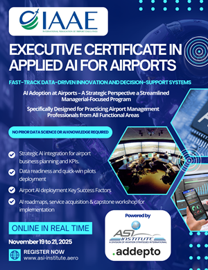 Flyer Design by James for Aviation Strategies International | Design: #36080054
