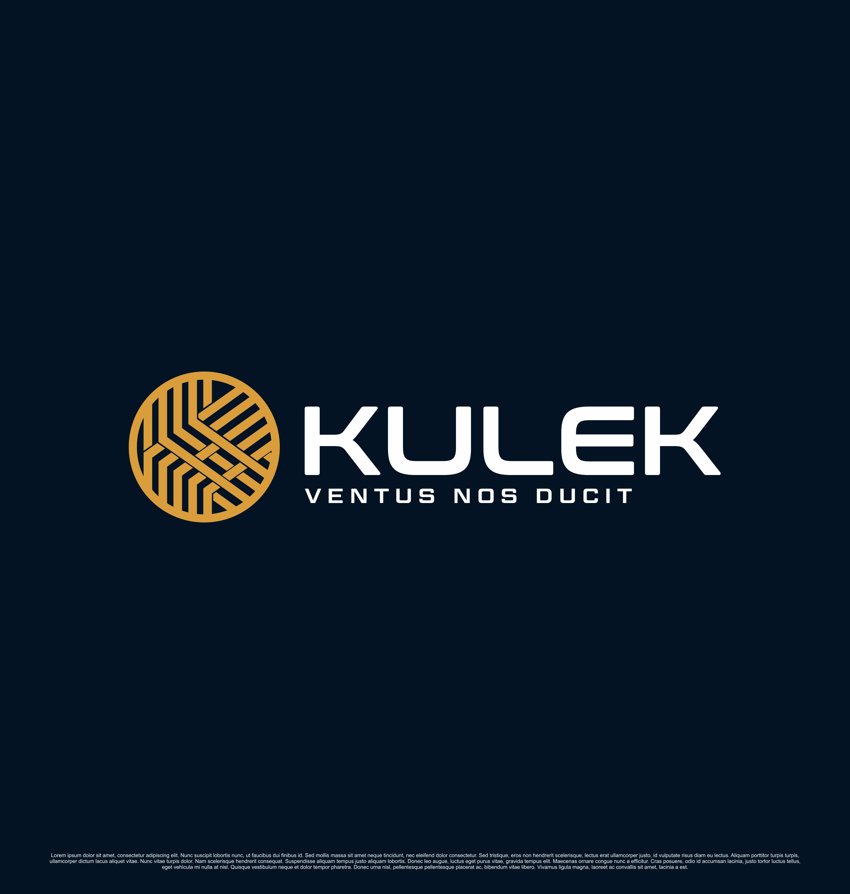 Logo Design by saesean for this project | Design #36079635