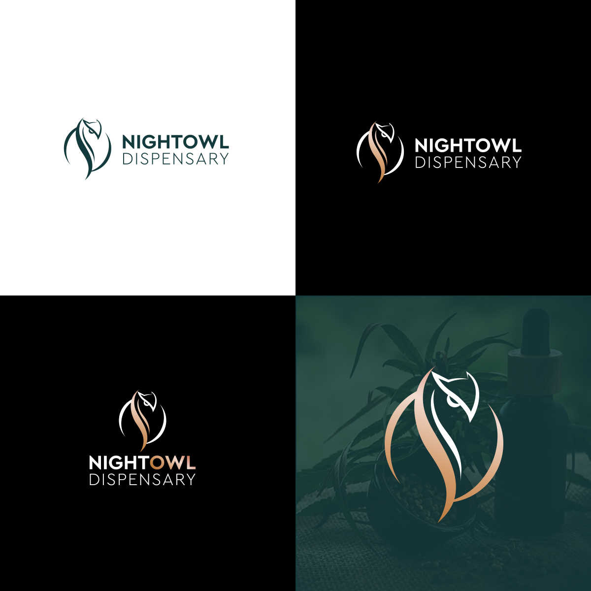 Diseño de Logo por DesignSNW para este proyecto | Diseño #36126719