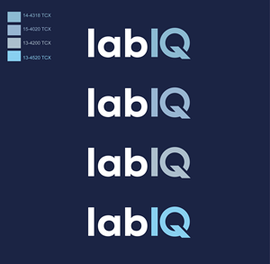 Logo Design by @Dh24 for this project | Design: #36151496