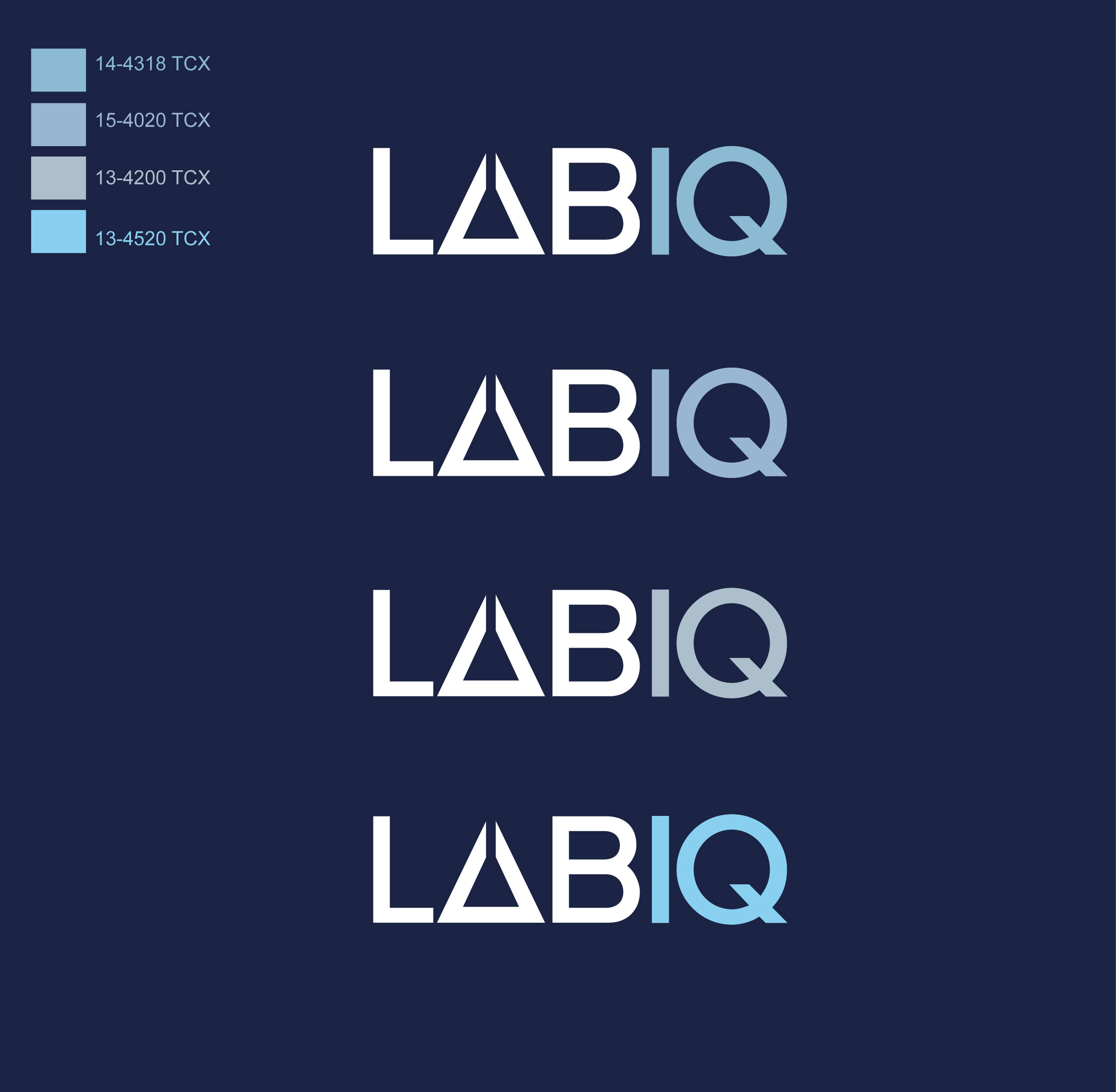 Logo Design by @Dh24 for this project | Design #36151501