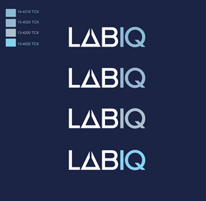 Logo Design by @Dh24 for this project | Design: #36151501