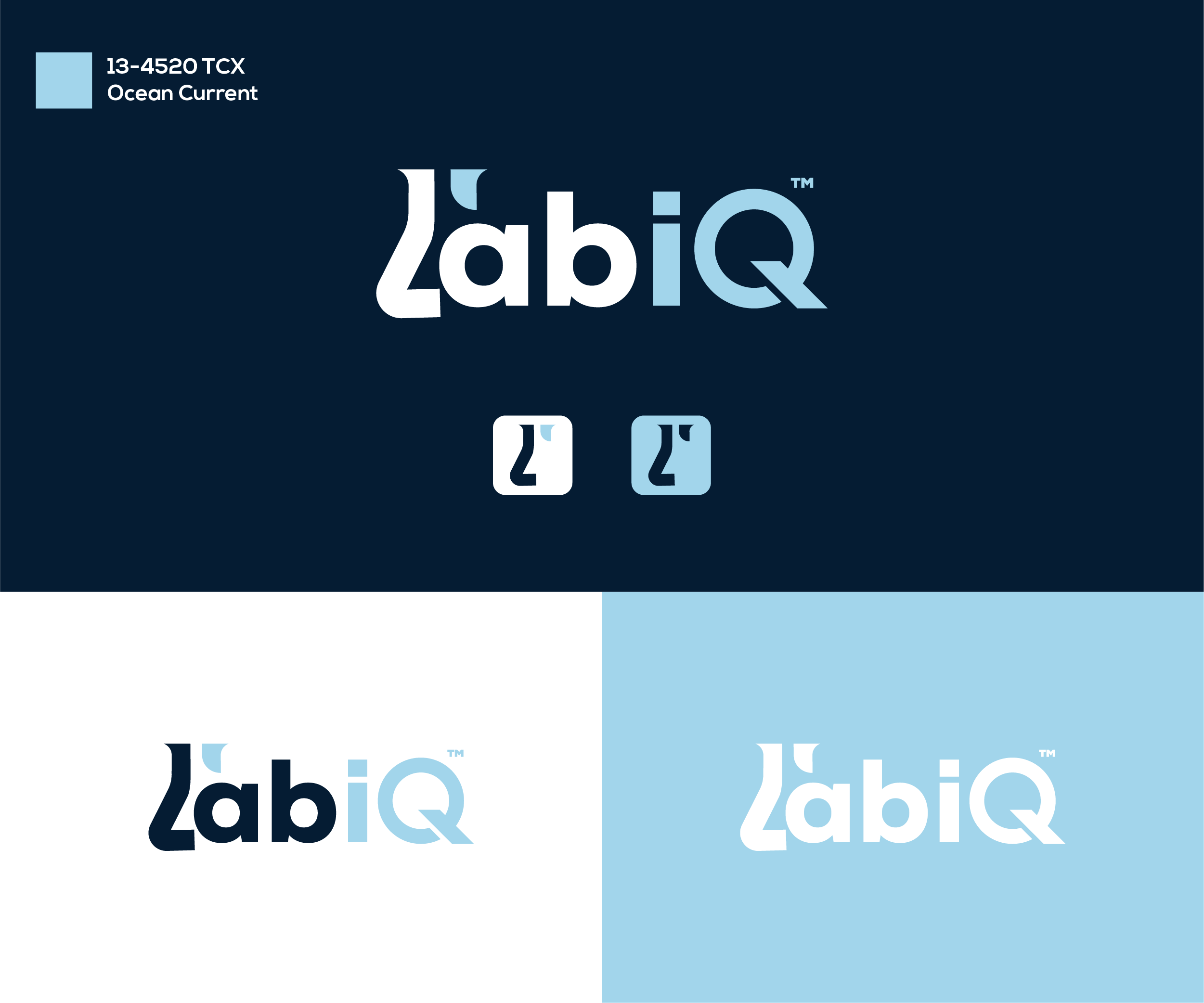 Logo Design by Ayub Zafar for this project | Design #36151738