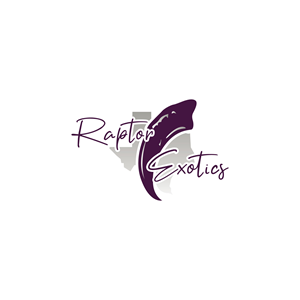 Logo Design by StromDesignHub for this project | Design #36132766