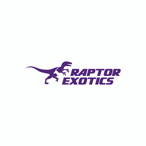 Logo Design by Ashani Bhattacharya for this project | Design #36131890