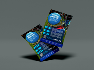 Design de Flyer par ADI GANTENG pour ce projet | Design : #36145675