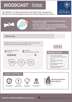 Infographic Design by Creative Studio X for this project | Design: #36178744