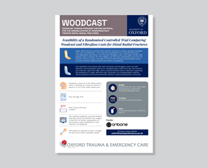 Infographic Design by barinix for this project | Design #36177347