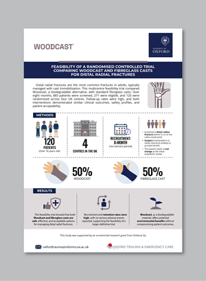 Infographic Design by Fajr. for this project | Design: #36161961