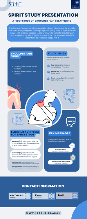 Infographic Design by Bangla React for this project | Design: #36182339