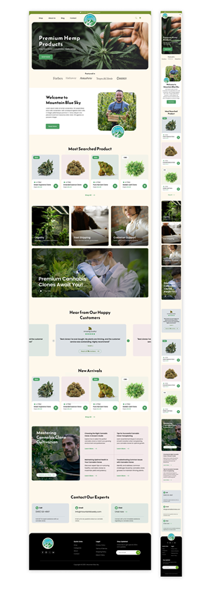 Web Design by *mary for this project | Design: #36145978