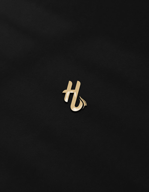 Diseño de Logo por silverbeams para este proyecto | Diseño: #36178116