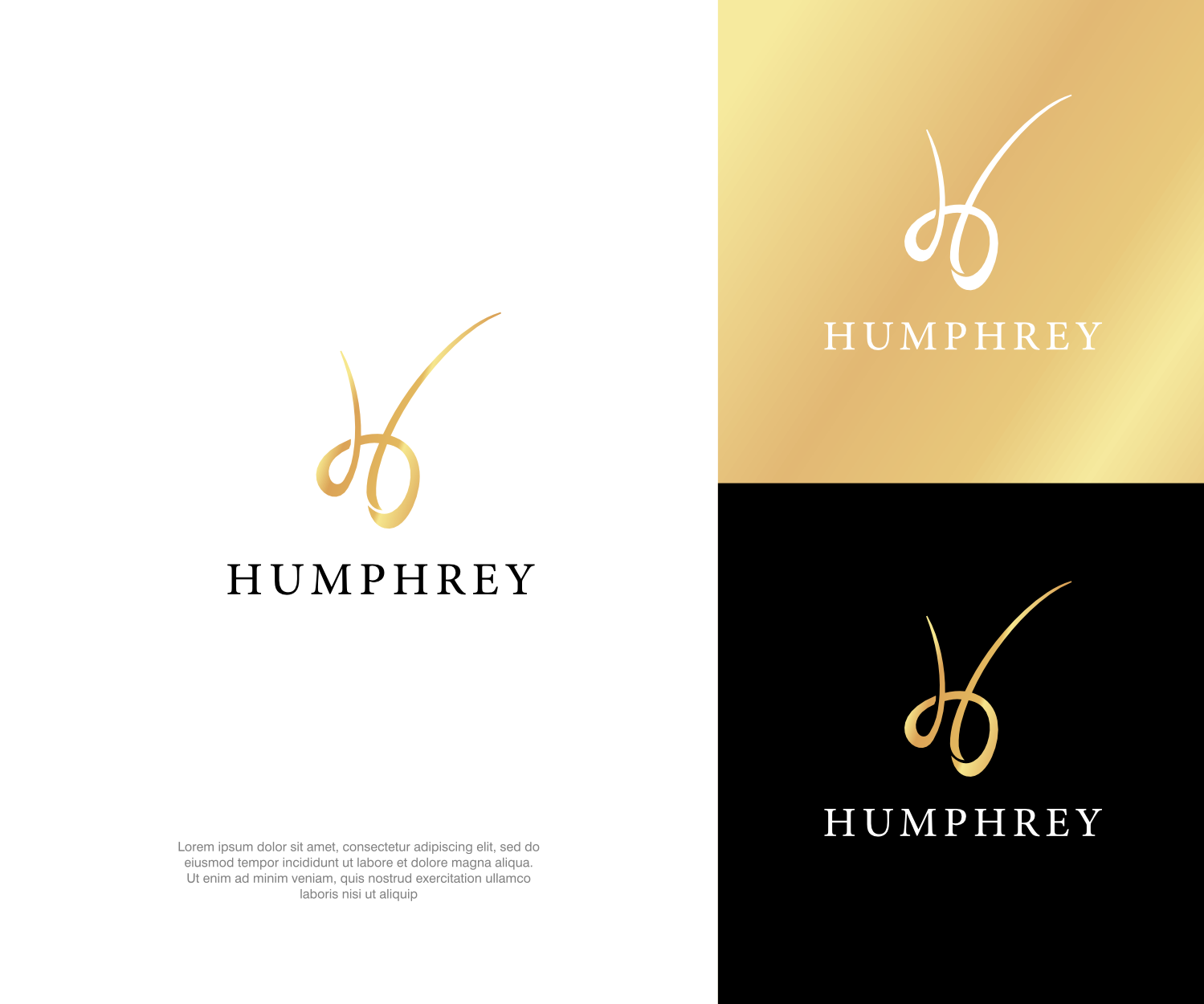 Logo Design by ThiagoB for this project | Design #36142129