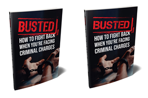 Book Cover Design by elenaivanova for this project | Design: #36168900