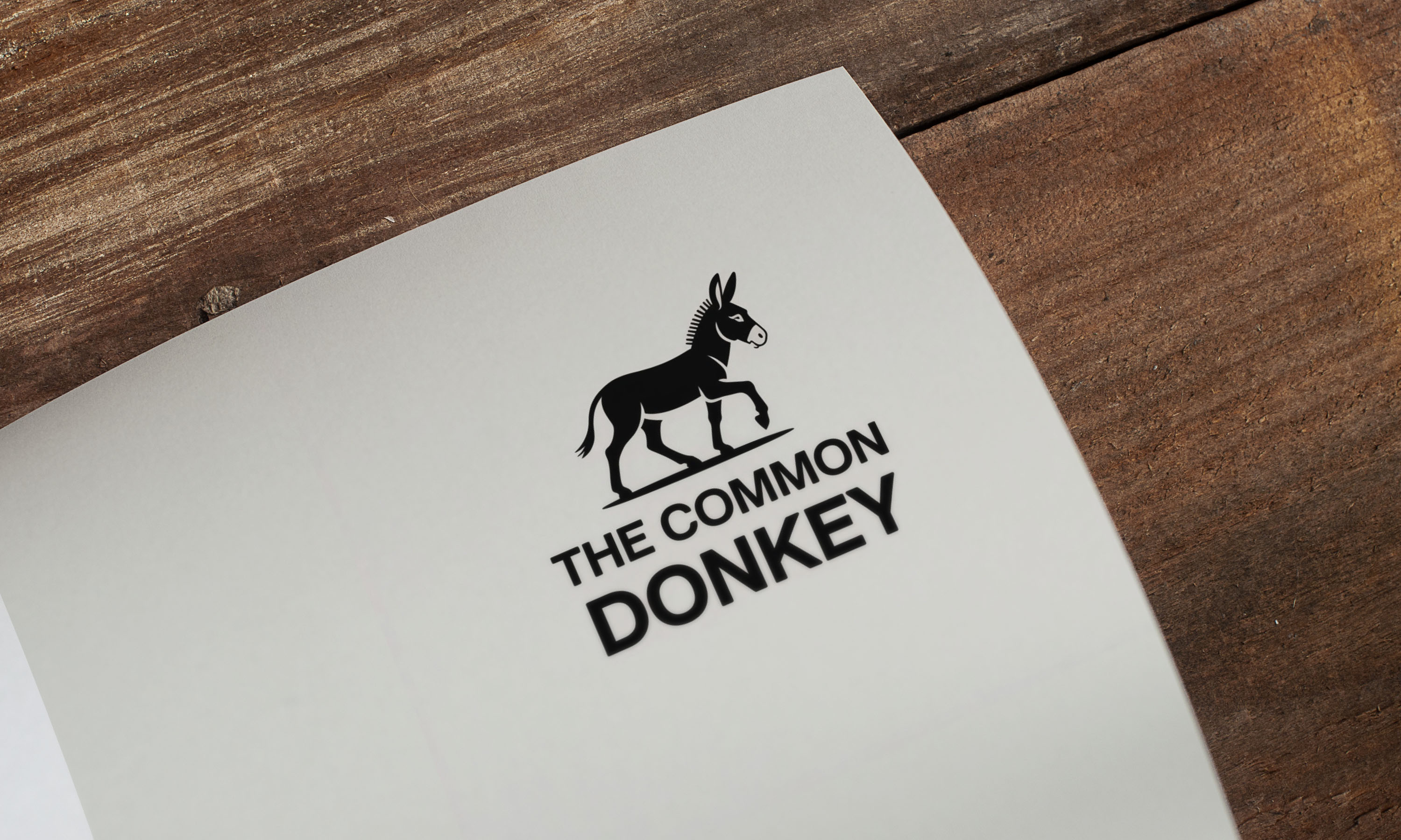 Logo Design by Loin008 for this project | Design #36151946