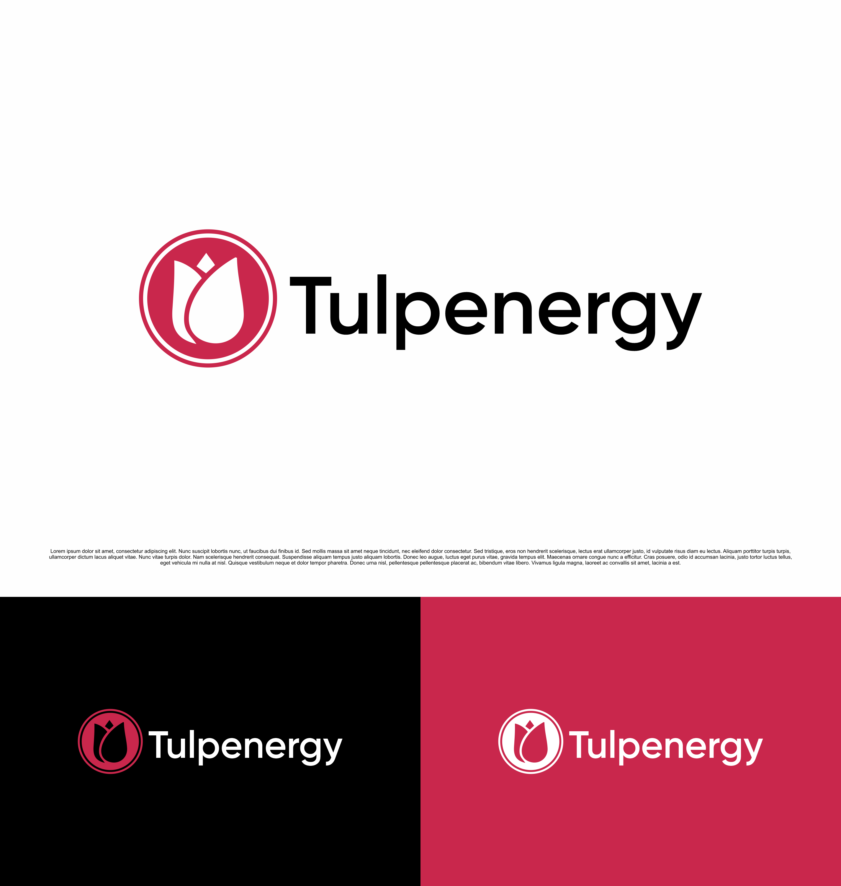 Diseño de Logo por saesean para este proyecto | Diseño #36167196