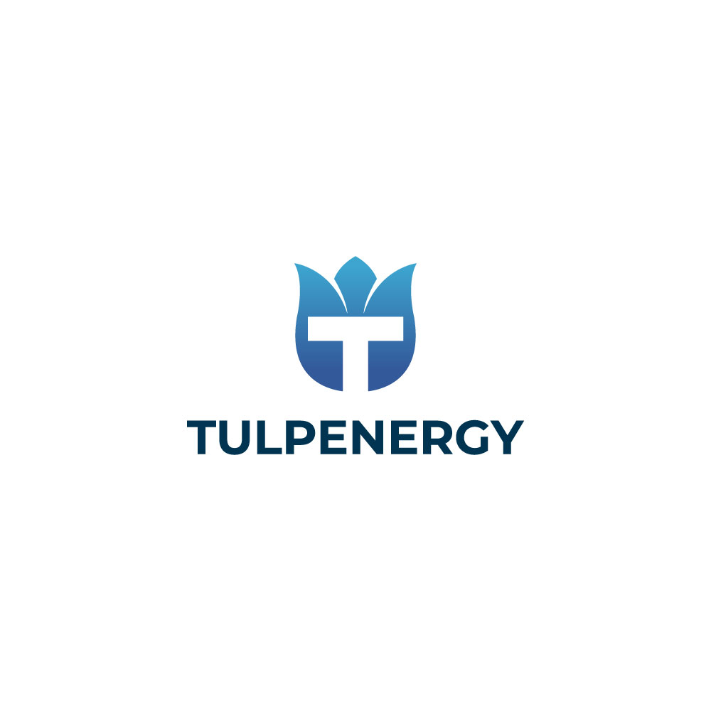 Diseño de Logo por DesignVerse777 para este proyecto | Diseño #36151052