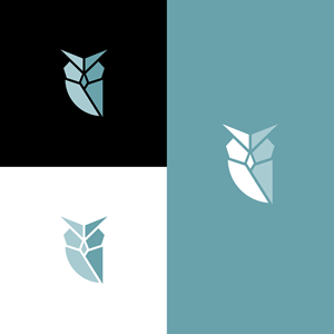 Logo Design by anonrotide for this project | Design: #36166862