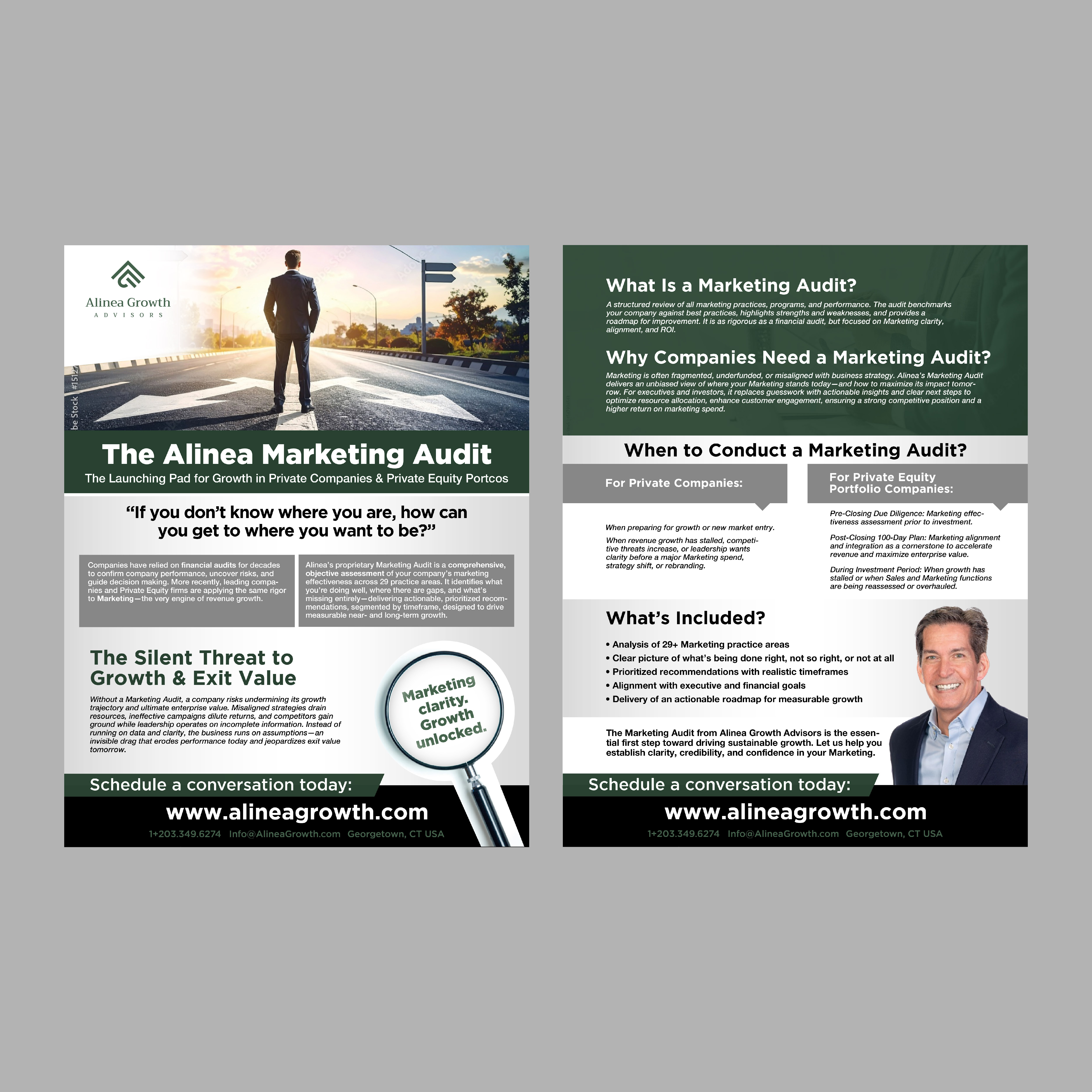 Diseño de Flyer por S_H Designs para Alinea Growth, LLC | Diseño #36182668