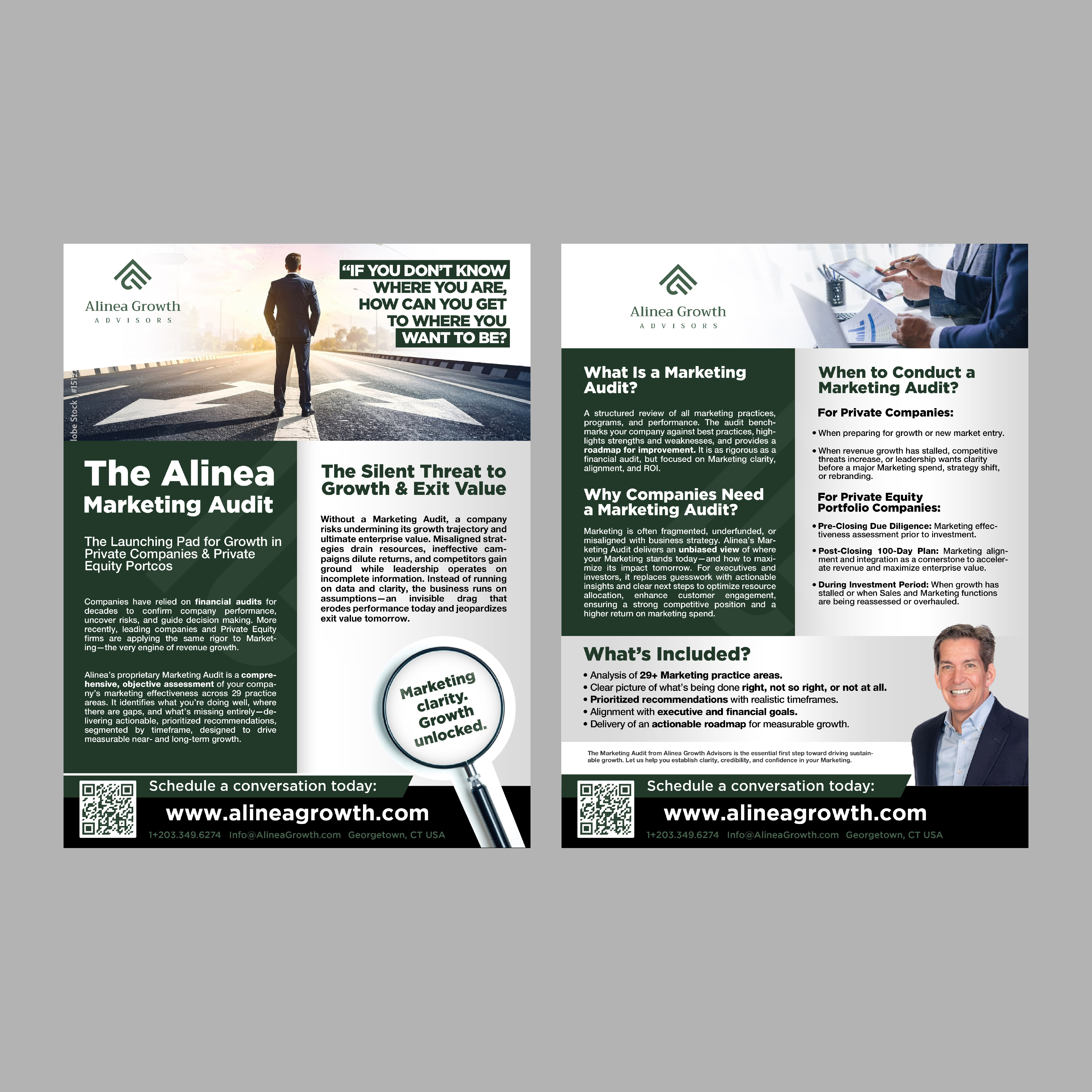 Diseño de Flyer por S_H Designs para Alinea Growth, LLC | Diseño #36188514