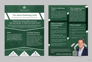 Flyer Design by pb for Alinea Growth, LLC | Design: #36174754