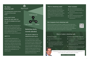 Flyer Design by pb for Alinea Growth, LLC | Design: #36181503
