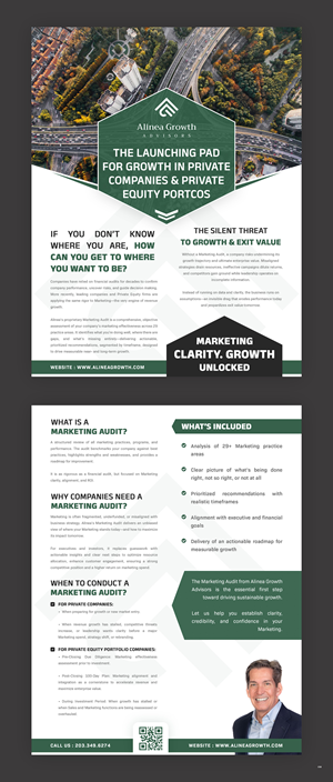 Flyer Design by pb for Alinea Growth, LLC | Design: #36181505