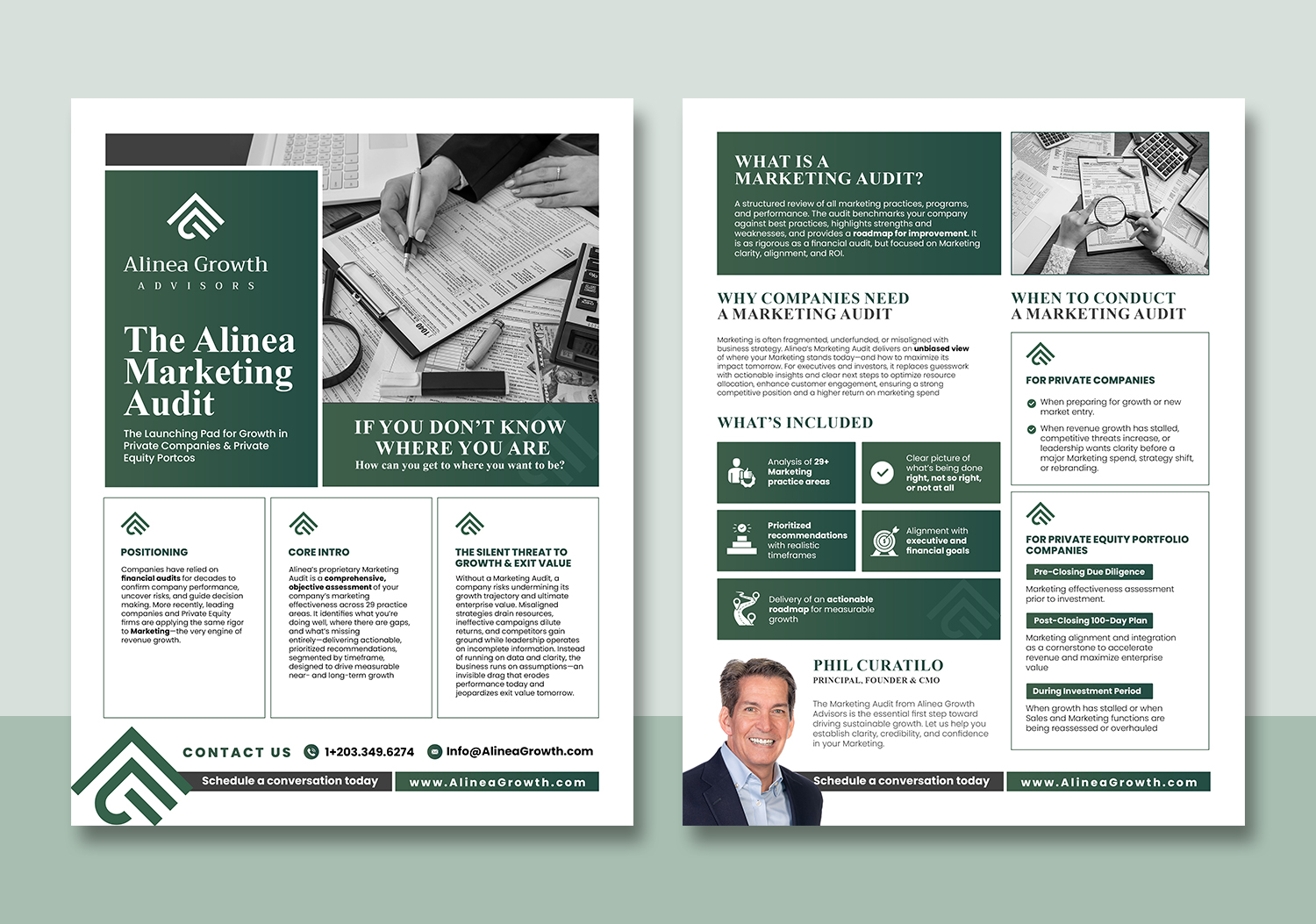 Flyer Design by debdesign for Alinea Growth, LLC | Design #36180043