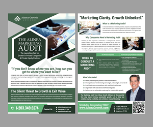 Design de Flyer par Creations Box 2015 pour Alinea Growth, LLC | Design #36185510