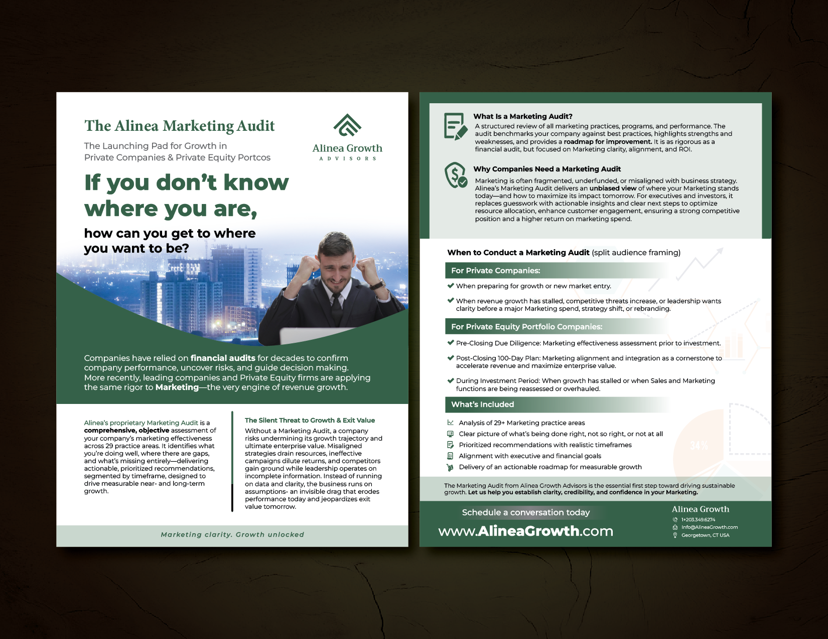 Flyer Design by GMWIRE for Alinea Growth, LLC | Design #36191840