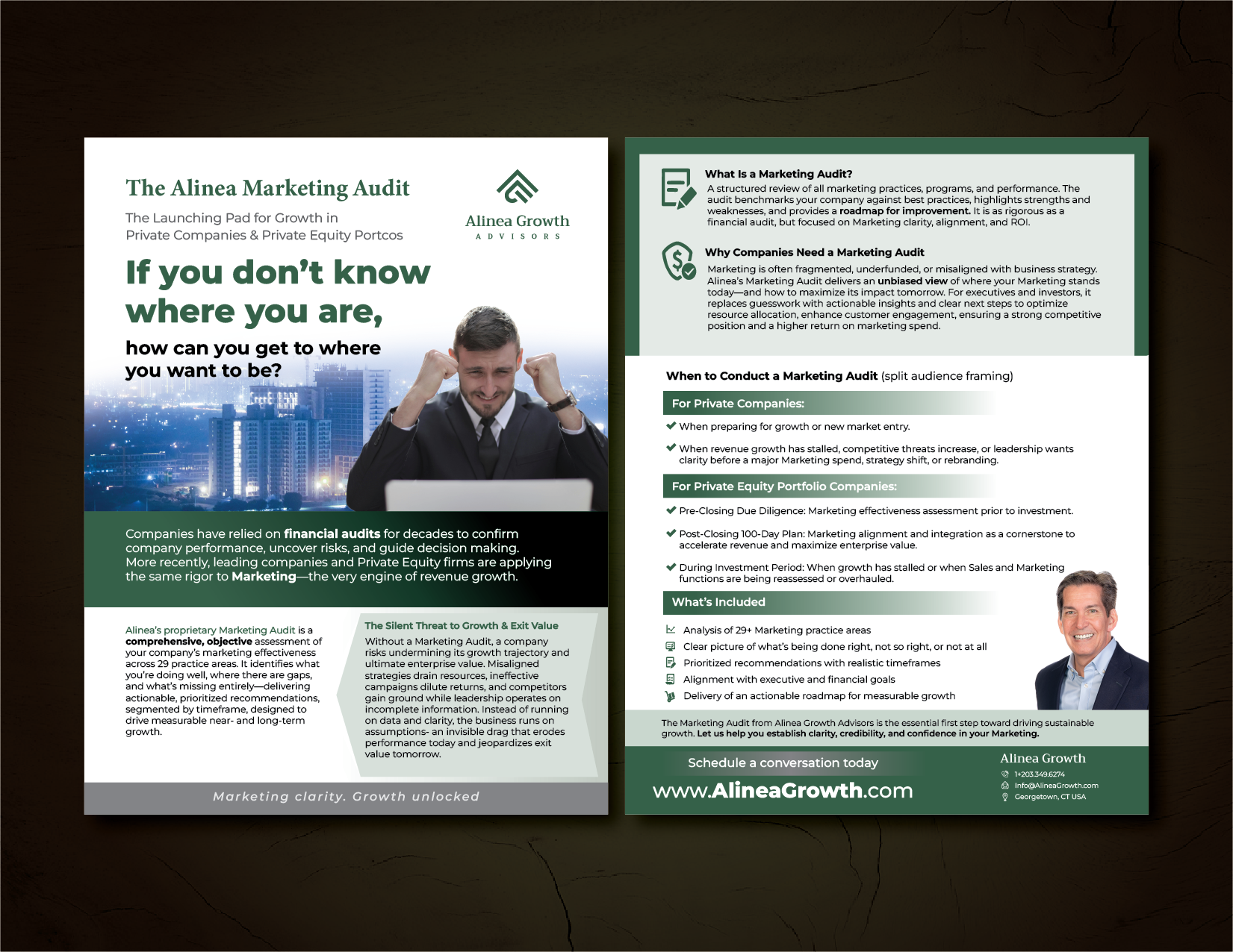 Design de Flyer par GMWIRE pour Alinea Growth, LLC | Design #36192019