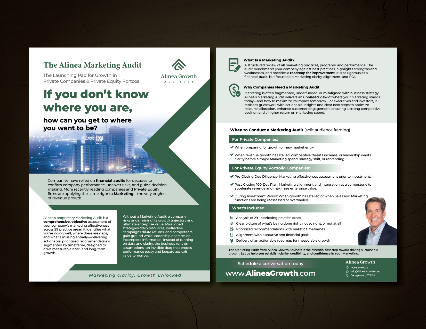 Design de Flyer par GMWIRE pour Alinea Growth, LLC | Design #36192160