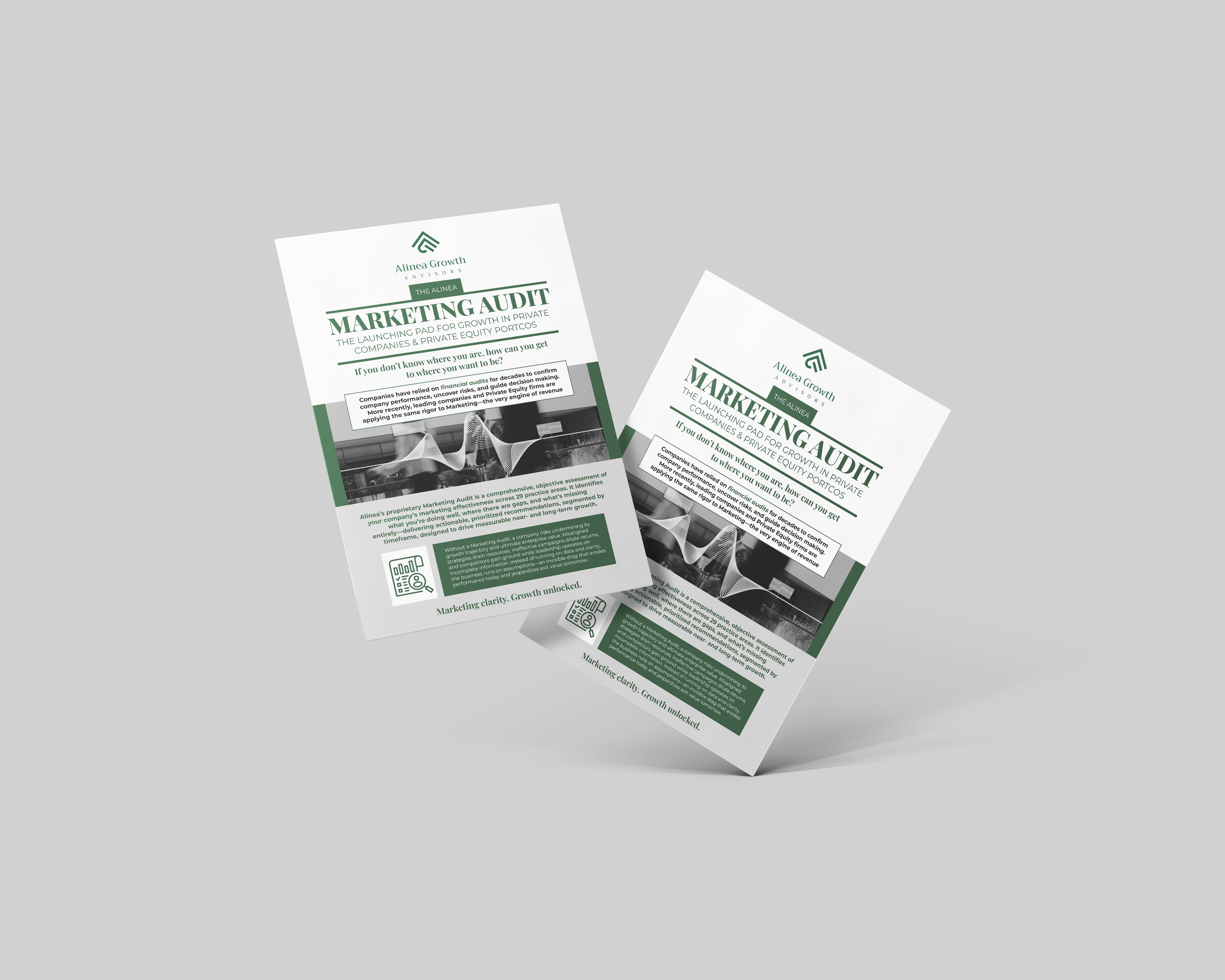 Flyer-Design von ed_scenery für Alinea Growth, LLC | Design #36161305