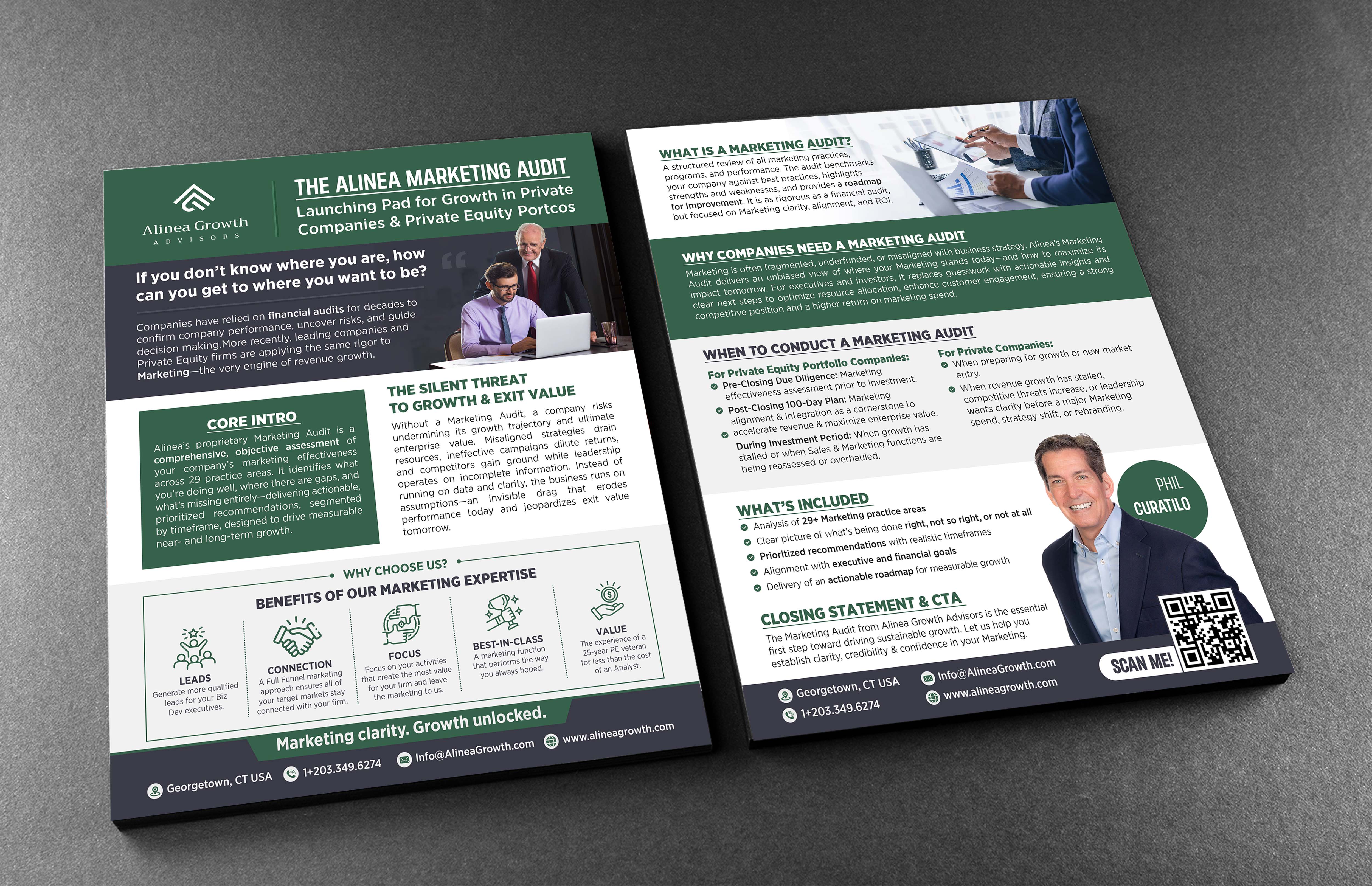 Design de Flyer par GraphicsGuru pour Alinea Growth, LLC | Design #36188712