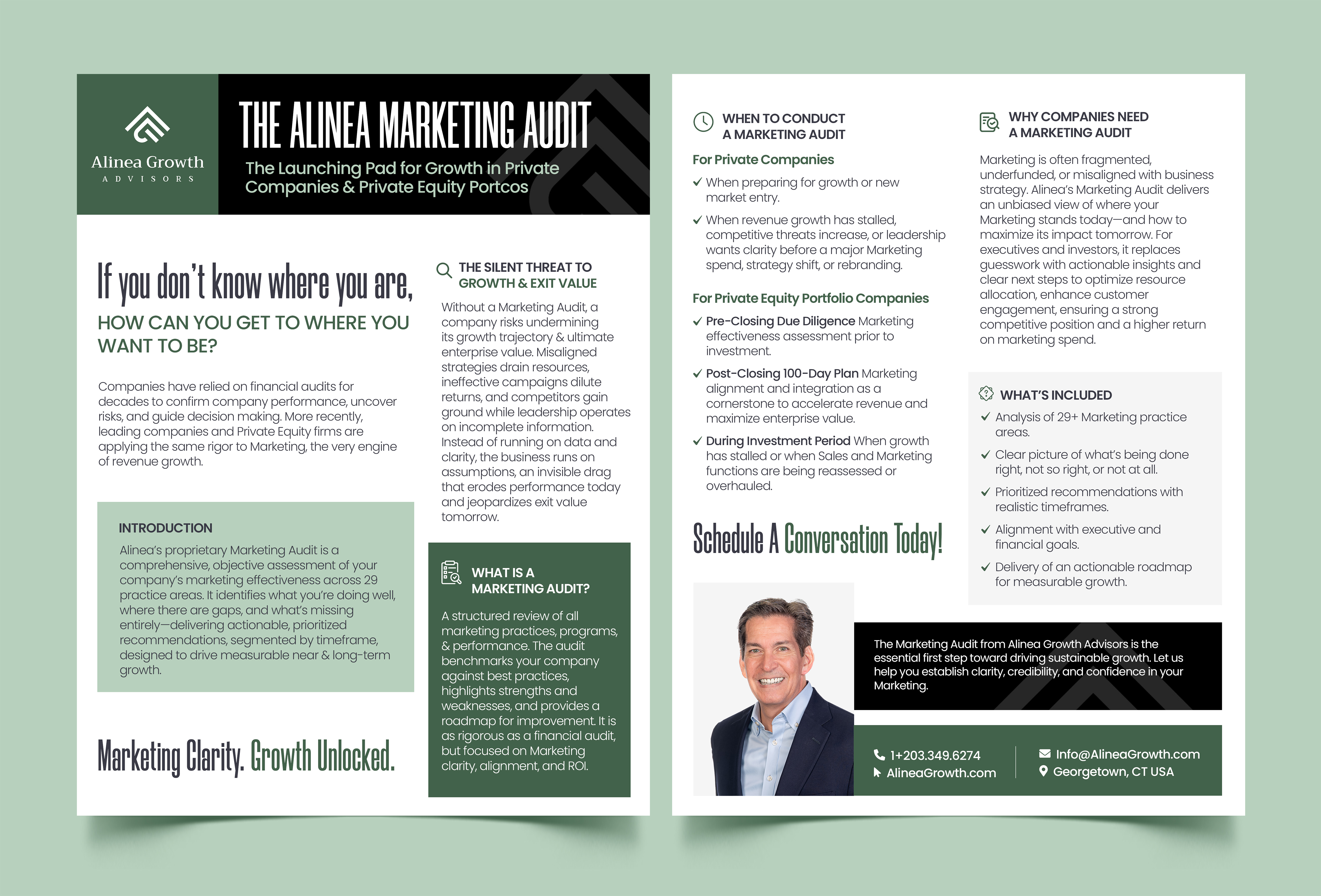 Flyer Design by Graphic Guy for Alinea Growth, LLC | Design #36187542