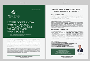 Design de Flyer par BerhasilKabeh pour Alinea Growth, LLC | Design : #36187326