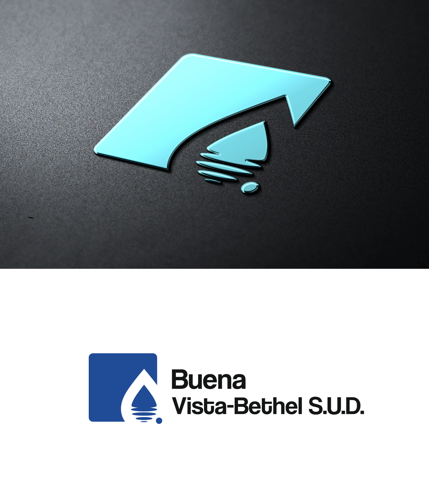 Logo Design by Stelery for this project | Design #36165356