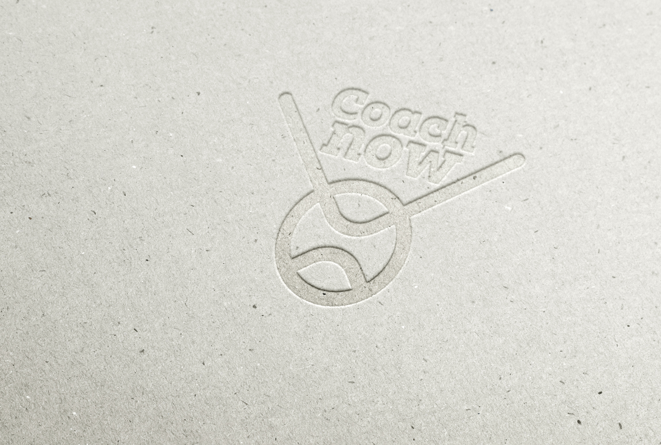 Logo Design by MOLO for this project | Design #36166168