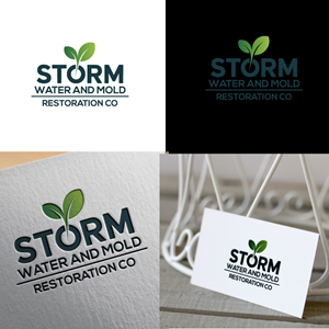 Logo Design by jonshon for this project | Design: #36172720