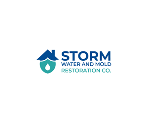 Logo Design by Fiyaz Zaman