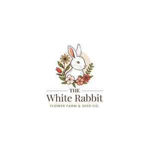 Logo Design by coloratura