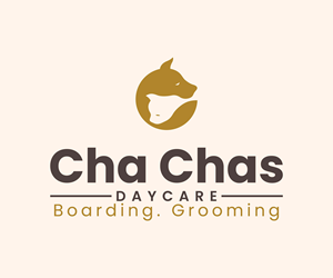 Logo Design by Artify360