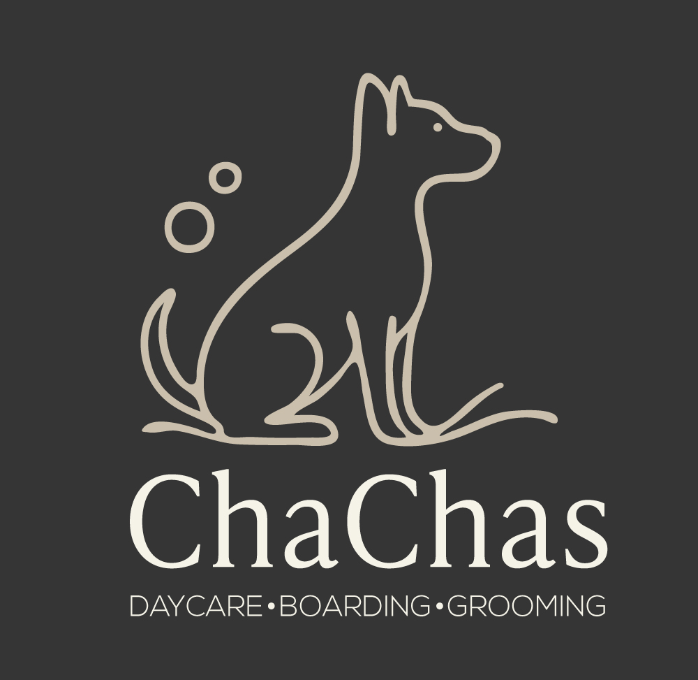 Logo Design by Abhinav | Creative Artist for this project | Design #36227892