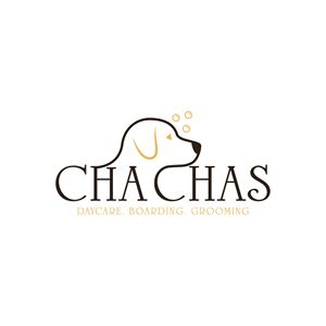 Logo Design by Creative5