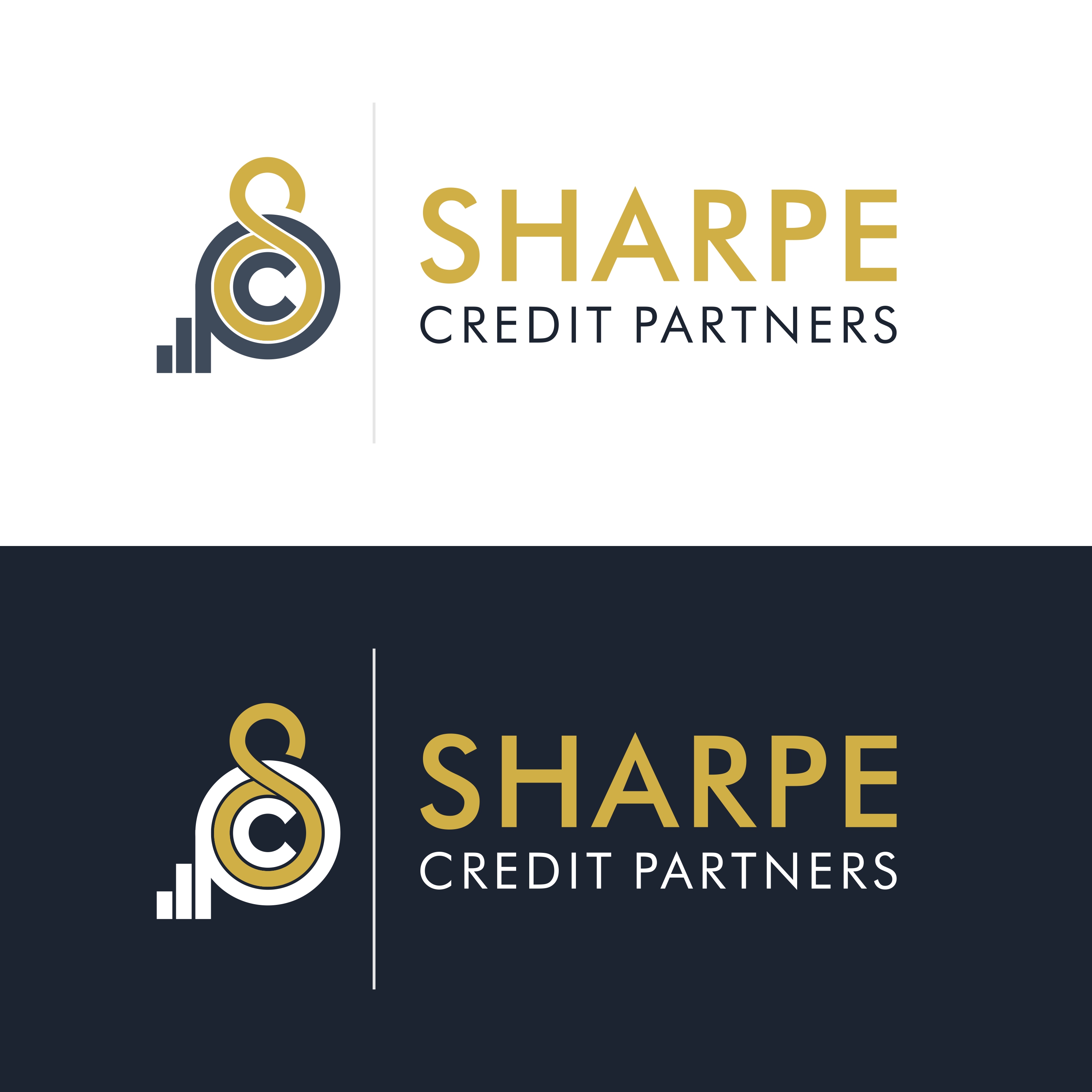 Logo Design by shailesh raut for this project | Design #36192098